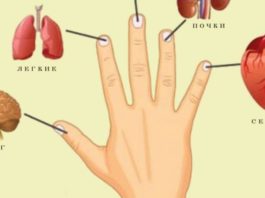 Японский метод самоисцеления всего за 5 минут. Каждый палец связан с определенными органами